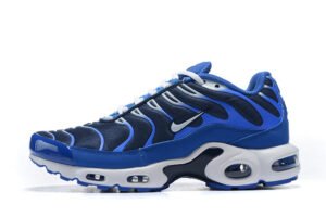 AIR MAX PLUS TN 'ARTIC CHILL'
