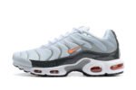 Nike Air Max Plus Tn Crater Réplica