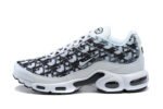 Nike Air Max Plus Tn X Dior Réplica