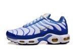 AIR MAX PLUS TN 'LYON BLUE'