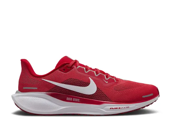 NIKE PEGASUS 41 'OHIO STATE'