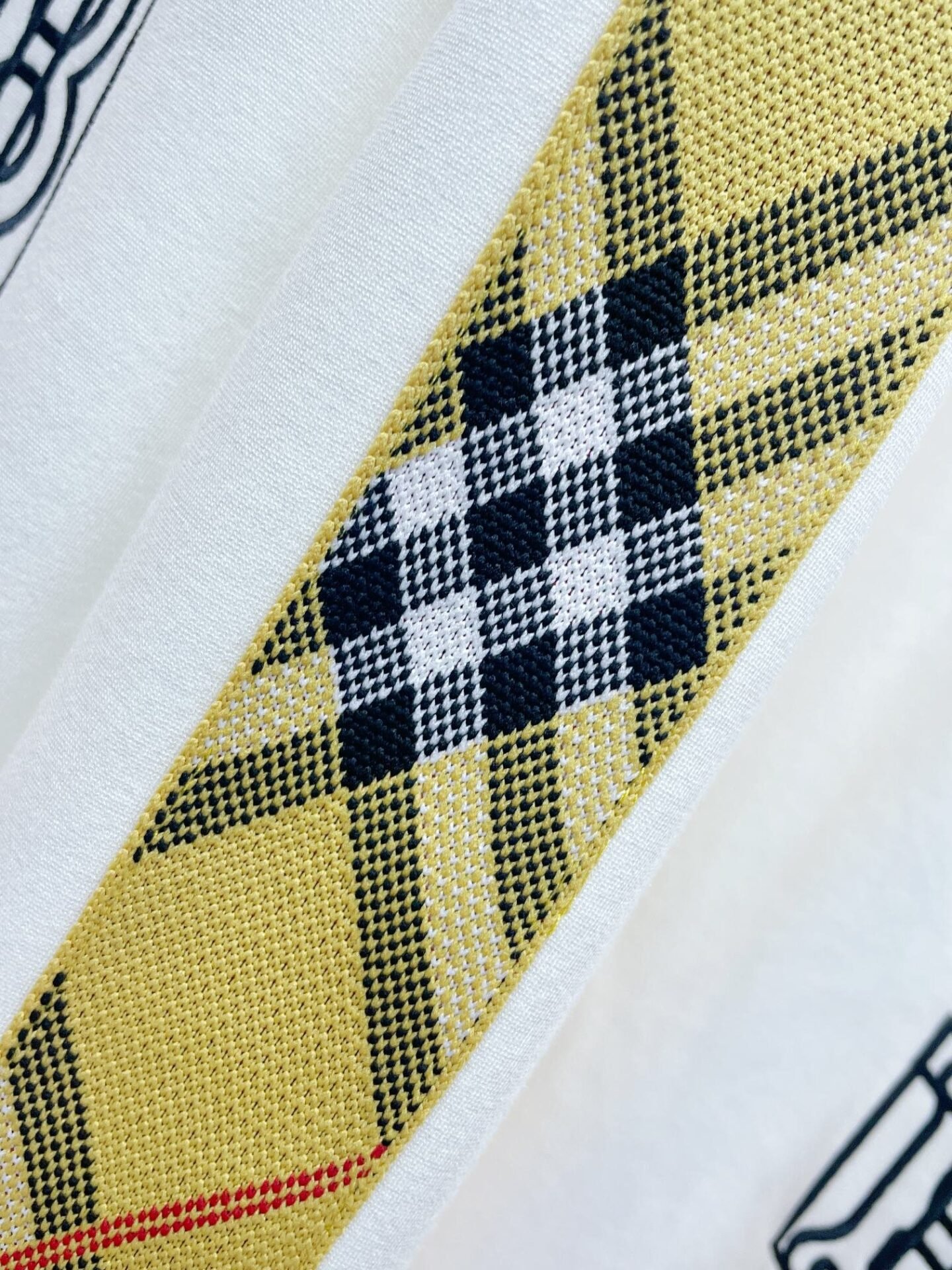 CHÁNDAL BURBERRY - Imagen 5