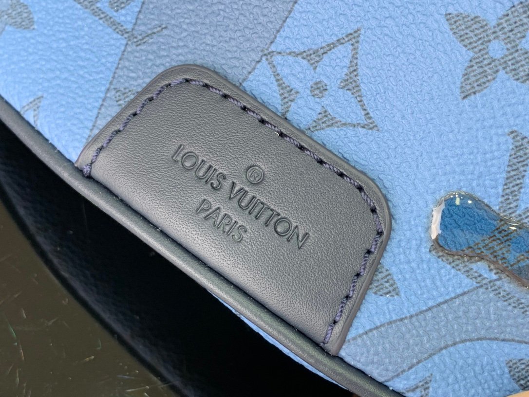 BOLSO LOUIS VUITTON - Imagen 6