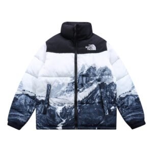 CHAQUETA NORTH FACE
