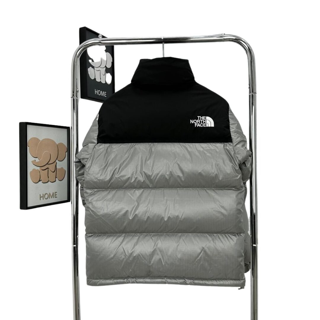 CHAQUETA NORTH FACE - PLATA - Imagen 2
