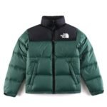 CHAQUETA NORTH FACE