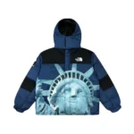 CHAQUETA NORTH FACE - PARKA LIMBARA