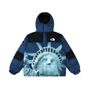 CHAQUETA NORTH FACE - PARKA LIMBARA
