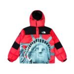 CHAQUETA NORTH FACE