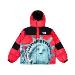 CHAQUETA NORTH FACE