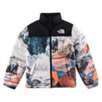 CHAQUETA NORTH FACE