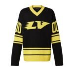 SUDADERA LOUIS VUITTON